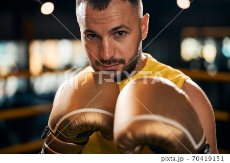 Boxing champion raising his fists and taking a fighting stance 70419151