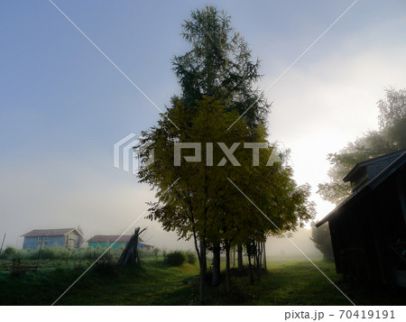 富良野麓郷 70419191