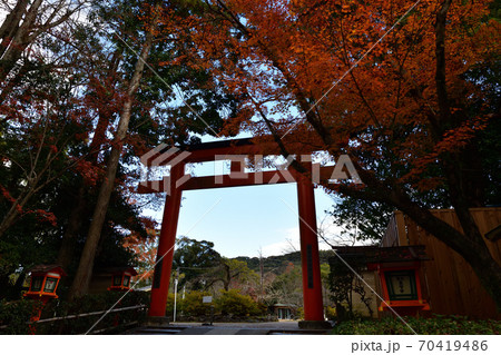 八坂神社の紅葉 八坂神社の紅葉 70419486