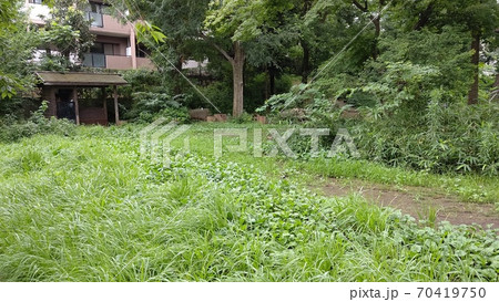 東京都大田区立くさっぱら公園　珍しい　最寄り駅　池上線千鳥町駅 70419750