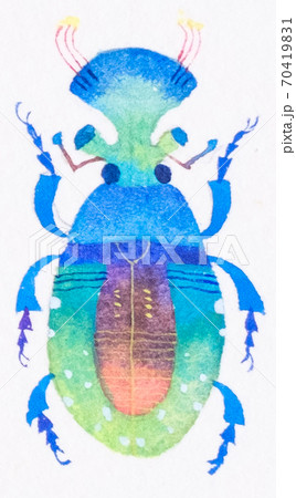 空想蟲 空想蟲 70419831