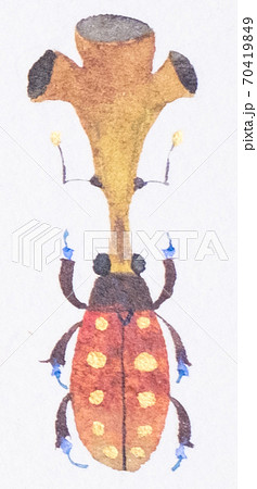 空想蟲 空想蟲 70419849