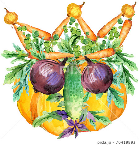 watercolor Organic Food Labels  70419993