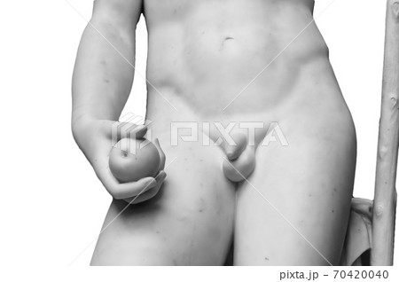 Closeup of the penis Classic statue 70420040