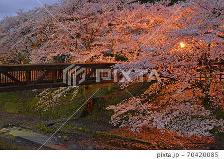 京都 亀岡 七谷川の桜ライトアップ 京都府亀岡市の写真素材