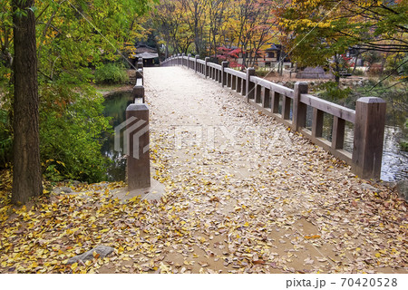 風景 容認民俗村 秋 70420528