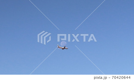 白夜月をおぶって 白夜月をおぶって 70420644