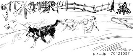 Dog Sled Team Drawing Unique Sledge Dogs Helped The Inuit Thrive In