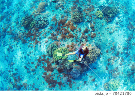 Young man in snorkelling mask dive underwater Young man in snorkelling mask dive underwater 70421780
