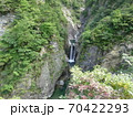 裏巻機渓谷　夫婦滝 70422293