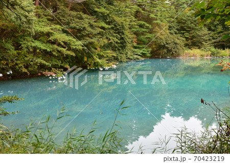 裏磐梯五色沼 70423219