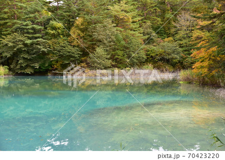 裏磐梯五色沼 70423220