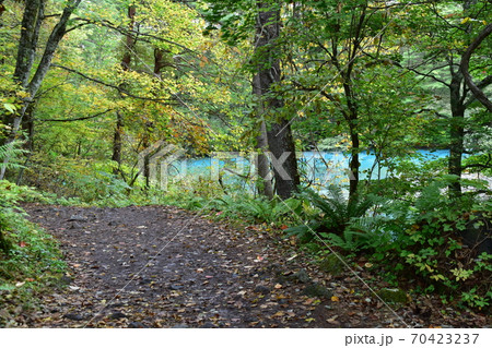 裏磐梯五色沼 70423237