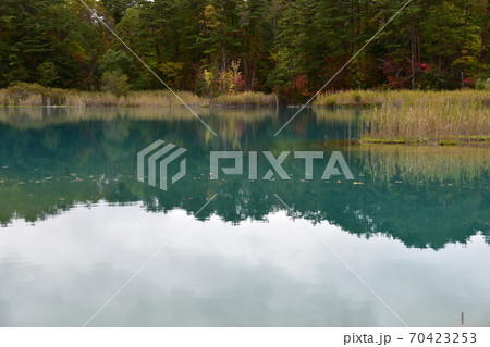 裏磐梯五色沼 70423253