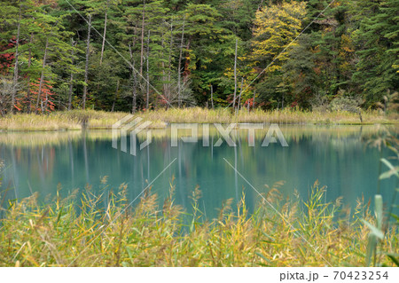 裏磐梯五色沼 裏磐梯五色沼 70423254