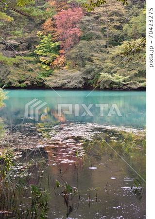 裏磐梯五色沼 70423275