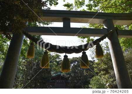 児玉神社 江ノ島 児玉神社 江ノ島 70424205