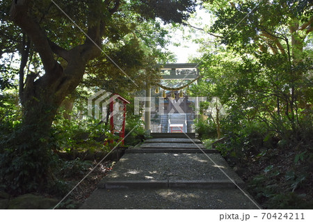 児玉神社　江ノ島 70424211