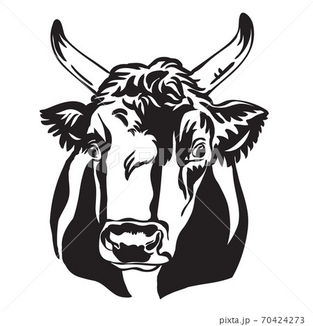 Abstract contour portrait of bull vector portrait Abstract contour portrait of bull vector portrait 70424273
