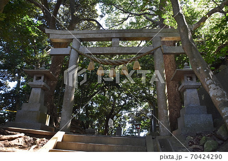 児玉神社 江ノ島 児玉神社 江ノ島 70424290