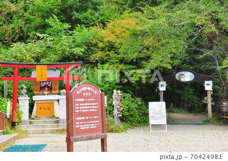 河口湖天上山(カチカチ山)のうさぎ神社と観光案内板 河口湖天上山(カチカチ山)のうさぎ神社と観光案内板 70424981