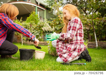 Happy brother and sister planting in a garden outdoors together Happy brother and sister planting in a garden outdoors together 70426796