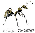 Handwork watercolor illustration of an insect ant. Isolated in white background 70426797