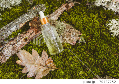 Natural eco-friendly organic cosmetics on the background of moss, leaves and tree bark. Natural eco-friendly organic cosmetics on the background of moss, leaves and tree bark. 70427252