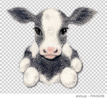 Calf background transparent 70428206