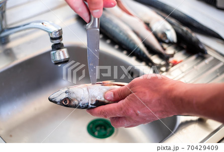 Process of filleting or preparing a fish to cook, food concept Process of filleting or preparing a fish to cook, food concept 70429409