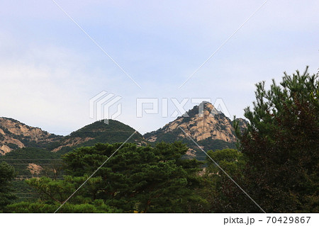 風景 空 葉 70429867