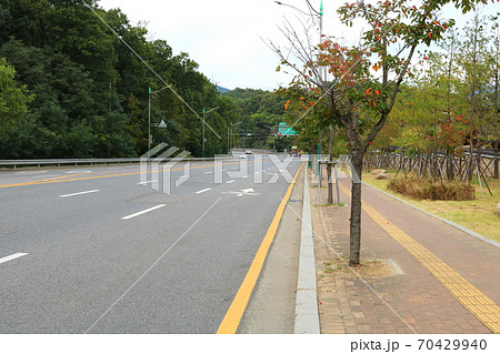 風景 恩平区 道 70429940