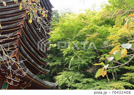 木造十三重塔と緑 70432408