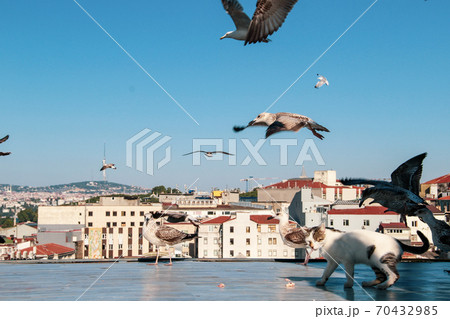 Galata Tower and Mosque dome silhouette with Bosphorus landscape in Golden Horn of Istanbul city in Turkey and the sea of Marmara Galata Tower and Mosque dome silhouette with Bosphorus landscape in Golden Horn of Istanbul city in Turkey and the sea of Marmara 70432985