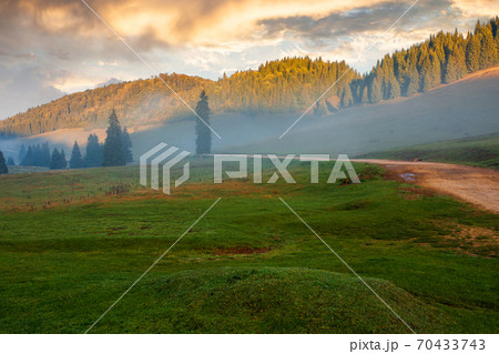 trees in the valley of mountainous natural park. foggy morning in autumn season. beautiful rolling landscape beneath a glowing sky trees in the valley of mountainous natural park. foggy morning in autumn season. beautiful rolling landscape beneath a glowing sky 70433743