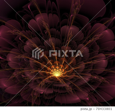Fractal Flowers Fantasy Fractal Flowers Fantasy 70433801