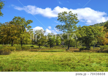 信州 長野県下高井郡木島平村 秋のカヤの平高原キャンプ場と牧場 信州 長野県下高井郡木島平村 秋のカヤの平高原キャンプ場と牧場 70436608