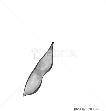 枝豆 墨の手描き野菜イラスト のイラスト素材 70436655 Pixta