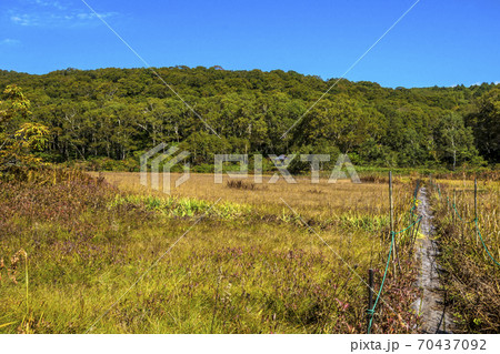 信州　長野県下高井郡木島平村　秋のカヤの平高原　北ドブ湿原 70437092