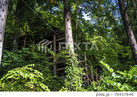 信州　長野県飯山市　小菅神社奥宮の参道から望む本殿 70437646