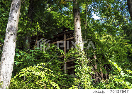 信州　長野県飯山市　小菅神社奥宮の参道から望む本殿 70437647