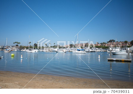 バルボアアイランド バルボアアイランド 70439031