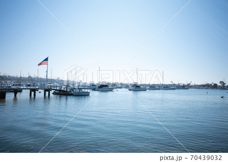 バルボアアイランド バルボアアイランド 70439032