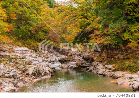 秋田湯沢の秋 紅葉の小安峡 秋田湯沢の秋 紅葉の小安峡 70440831
