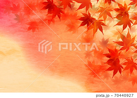 紅葉　もみじ　秋　 背景 70440927