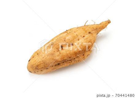 薩摩芋のマロンゴールド 70441480
