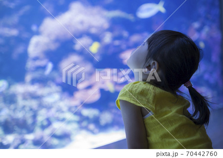 水族館の水槽で泳ぐ魚を見つめる子ども 水族館の水槽で泳ぐ魚を見つめる子ども 70442760