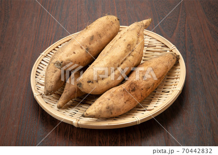 薩摩芋のマロンゴールド 70442832