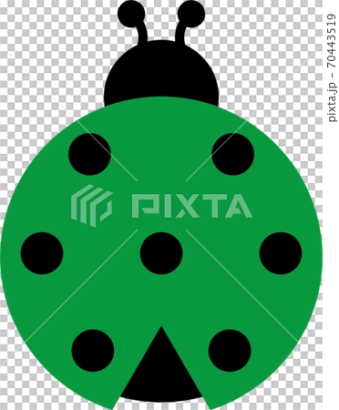 瓢蟲 70443519