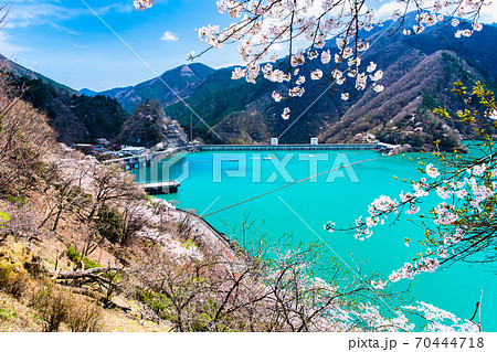 東京都奥多摩町　小河内ダムと湖畔の桜 （見はらしの丘からの眺望） 70444718